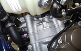 HUSQVARNA FE250 2021