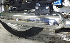 KAWASAKI W800 2022 EJ800E