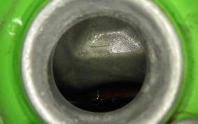 KAWASAKI KLX250D TRACKER X LX250V