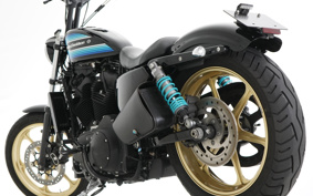 HARLEY XL1200NS 2019 LP3