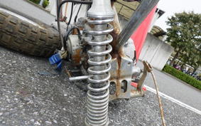 HONDA MONKEY 2010 Z50J