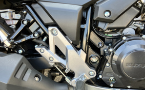 SUZUKI STROM 250 DS11A
