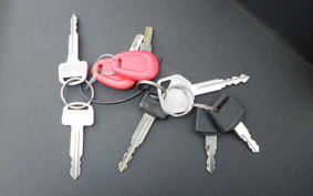 HONDA FORESIGHT 1993 MF04