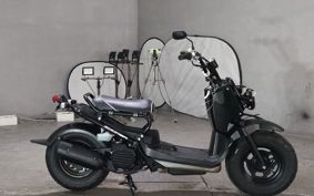 HONDA ZUMAR AF58