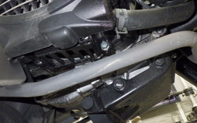 HONDA ZOOMER 2025 AF58