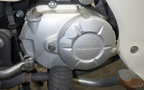 HONDA C110 SUPER CUB 2017 JA10