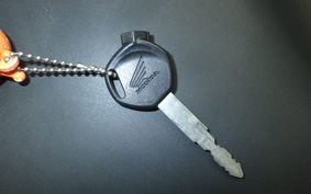 HONDA ﾀﾞﾝｸ 2022 AF74