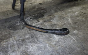 HONDA DIO GEN 3 2019 AF34