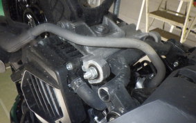 HONDA TACT Basket AF79
