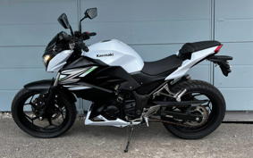 KAWASAKI Z250 ER250C