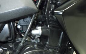 KAWASAKI Z250 2023 ER250C