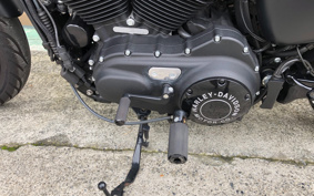 HARLEY XL883N 2017 LE2