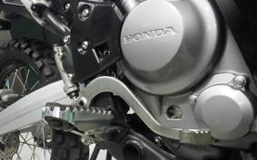 HONDA CRF250 RALLY