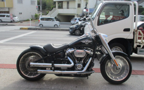 HARLEY FLFBS 2018 YGK