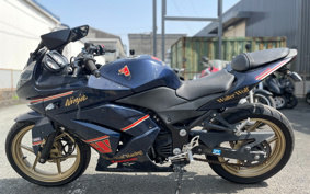 KAWASAKI NINJA 250R EX250K