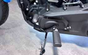 HARLEY FXBBS 2022 YYK