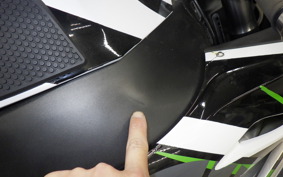 KAWASAKI ZX 10 NINJA ABS 2018