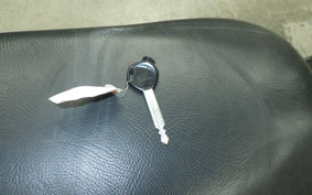 HONDA ZOOMER 2021 AF58