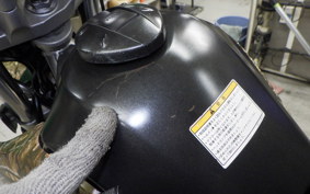 YAMAHA SEROW 250 Gen.2 DG17J