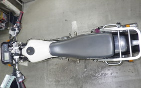 KAWASAKI SUPER SHERPA 2021 KL250G