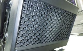 HONDA REBEL 250 A MC49