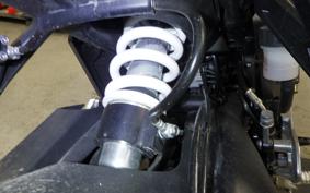 TRIUMPH TIGER 660 SPORTS 2024