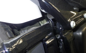 HARLEY FXBBS1870 2021