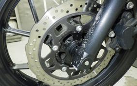 SUZUKI V-STROM 250