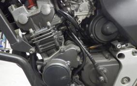 HONDA HORNET 250 MC31