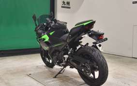 KAWASAKI NINJA 250 2019