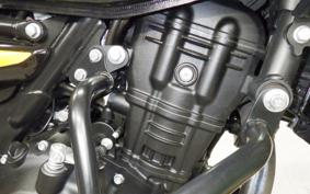 OTHER +ENFIELD ﾋﾏﾗﾔﾝ450 2025