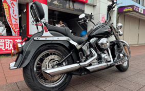 HARLEY FLSTC 2006 BJY