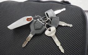 OTHER +UNREGISTERED MODEL by BDS125