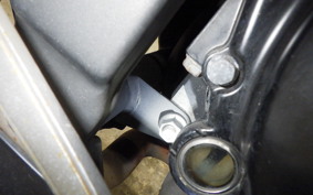 KAWASAKI NINJA 250 ABS EX250L