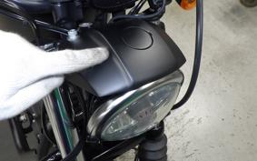 HARLEY XL883N 2021