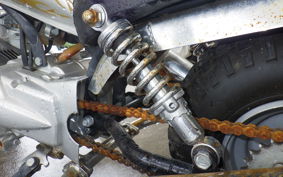 OTHER UNREGISTERED MODEL by BDS50 RZ