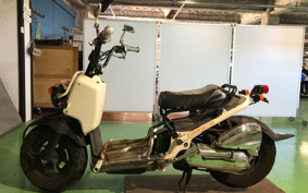 HONDA ZUMAR AF58