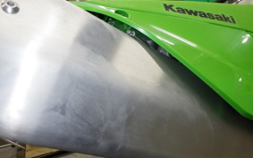 KAWASAKI KX250 2002 KX252E