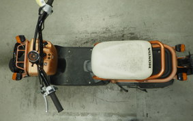 HONDA ZOOMER 2026 AF58