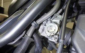 HONDA REBEL 250 S MC49