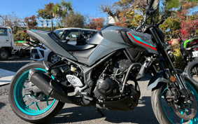 YAMAHA MT-25 RG74J