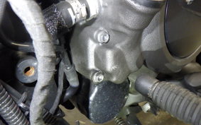 HARLEY RH975S 2023