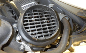 HONDA ZOOK AF26