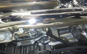 HARLEY FLSTFI1920 2025