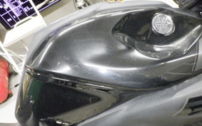 YAMAHA MT-25 2013 RG10J