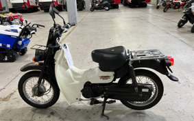 SUZUKI BIRDIE50 BA43A