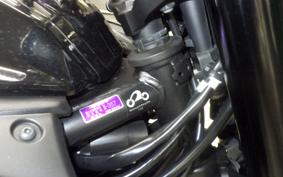 YAMAHA MT-25 A 2007 RG43J