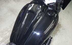 HARLEY FXLRS1870 2021