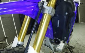 YAMAHA WR250R 2021 DG15J