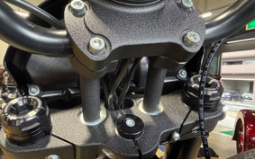 HARLEY FXLRS 2025 YWA